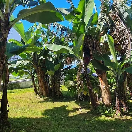 Casa Miramar